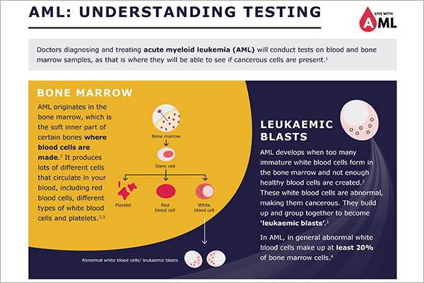 Screenshot of Understanding tests to diagnose AML brochure 